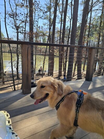 Whitewater Center Off Leash