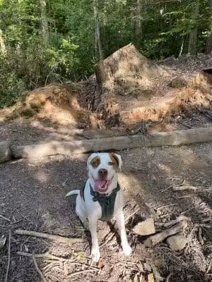 Whitewater Center Off Leash