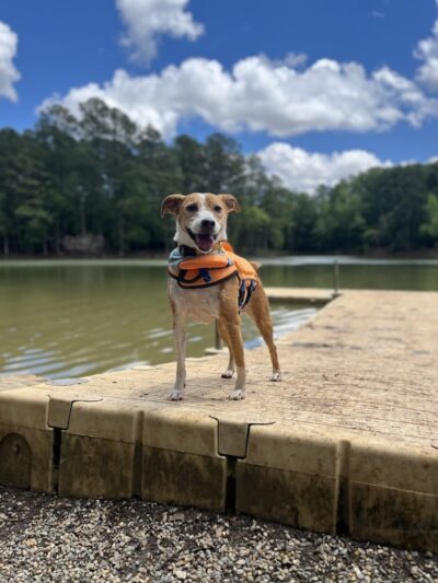 Whitewater Center Off Leash