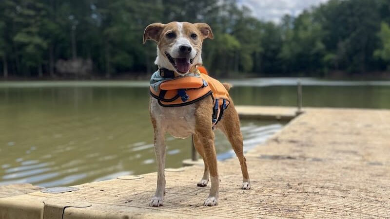 Whitewater Center Off Leash