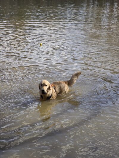 Whitewater Center Off Leash