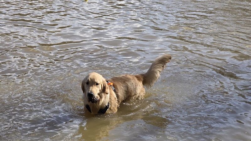Whitewater Center Off Leash