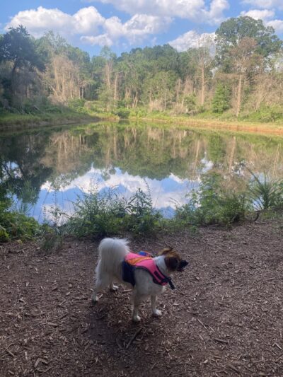 Whitewater Center Off Leash