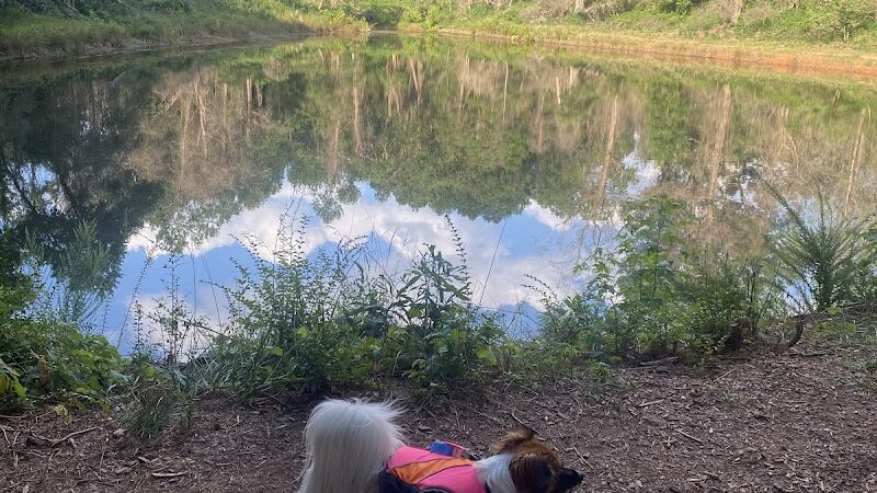 Whitewater Center Off Leash
