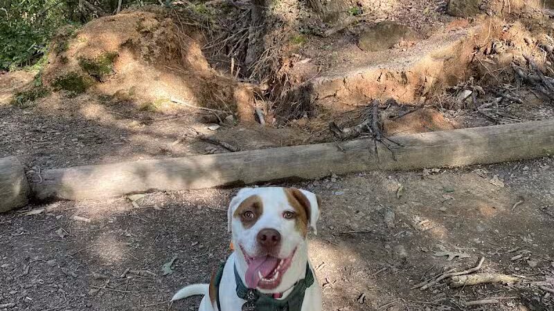 Whitewater Center Off Leash