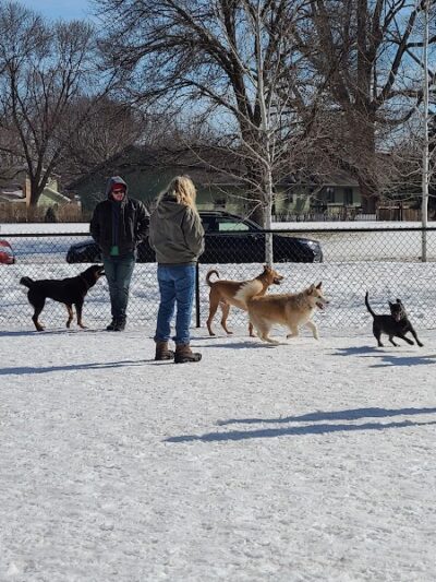Chaska Dog Park - Chaska, MN