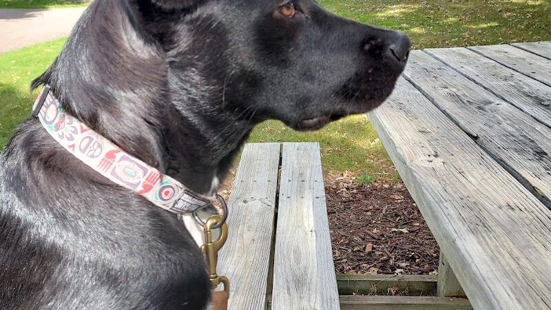 Chaska Dog Park - Chaska, MN