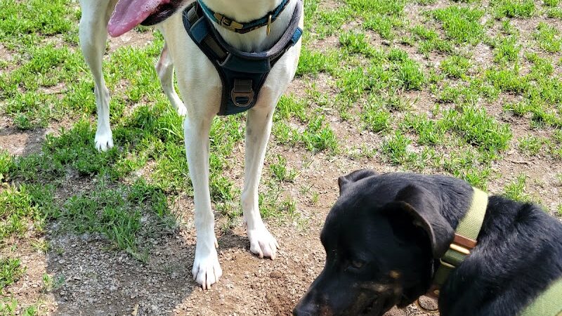 Chaska Dog Park - Chaska, MN