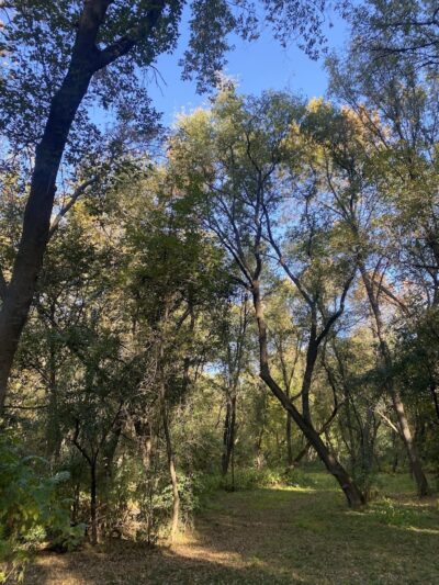 Chaska Dog Park - Chaska, MN