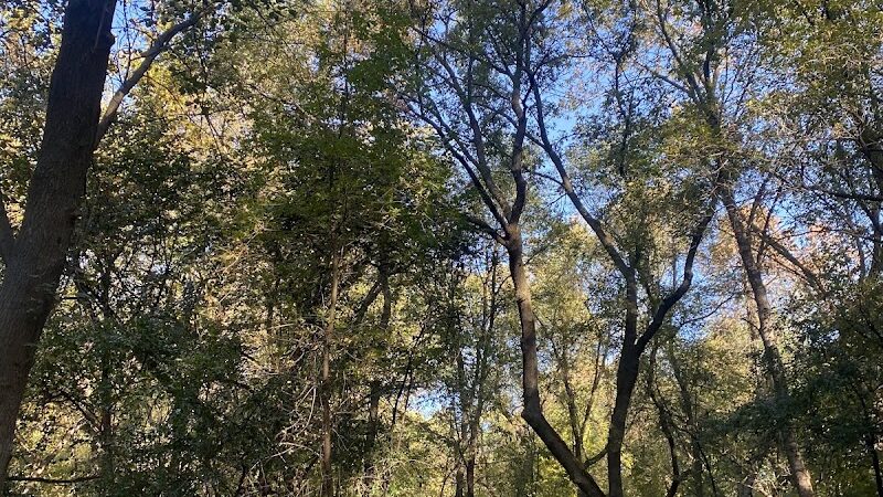 Chaska Dog Park - Chaska, MN