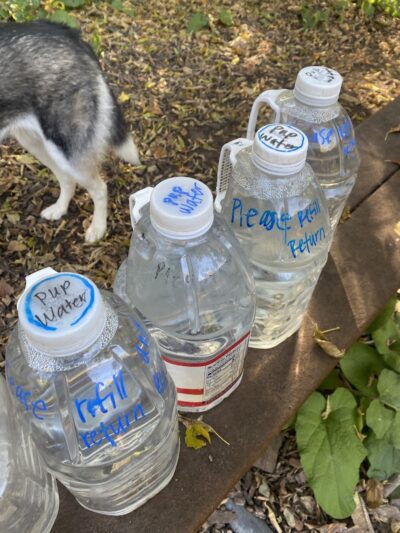 Chaska Dog Park - Chaska, MN