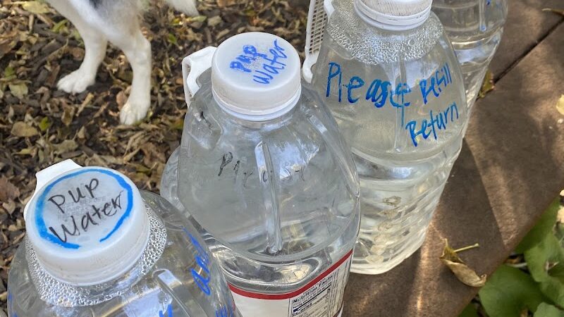 Chaska Dog Park - Chaska, MN