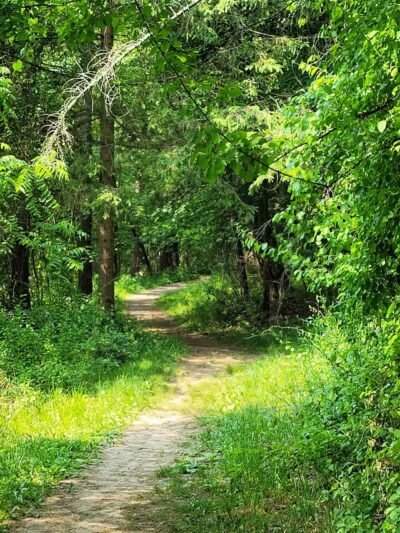 Borden's - Chatham, NY