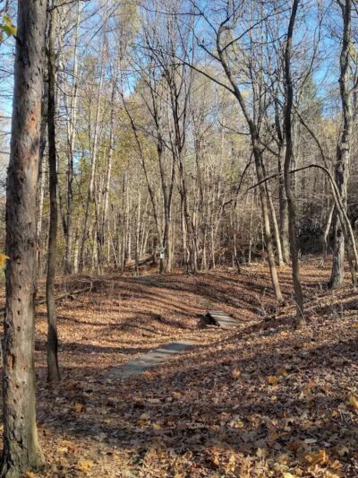 Borden's - Chatham, NY