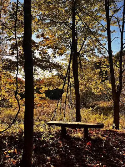 Borden's - Chatham, NY