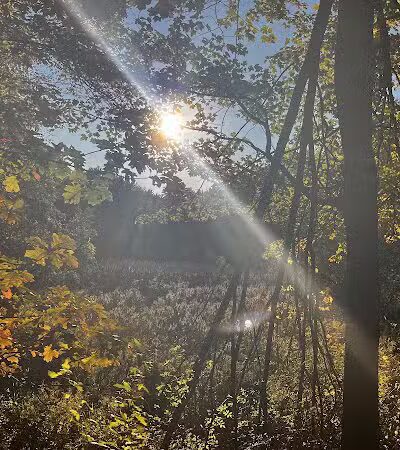 Borden's - Chatham, NY