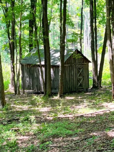 Borden's - Chatham, NY