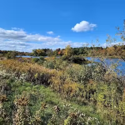 Ooms - Chatham, NY