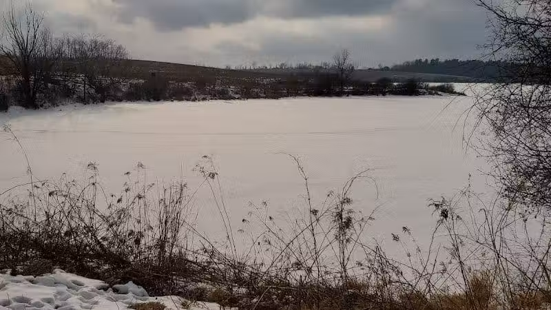 Ooms - Chatham, NY