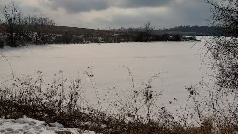 Ooms - Chatham, NY