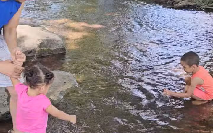 Heritage Park Dog Park Off-Leash - Chattanooga, TN