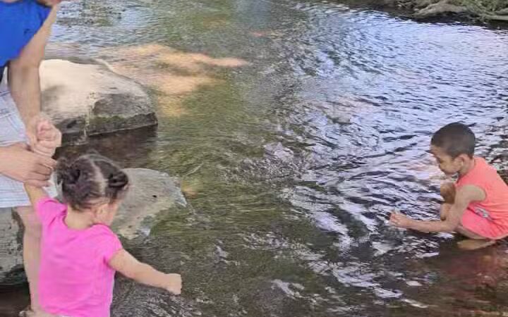 Heritage Park Dog Park Off-Leash - Chattanooga, TN