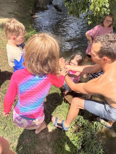 Heritage Park Dog Park Off-Leash - Chattanooga, TN