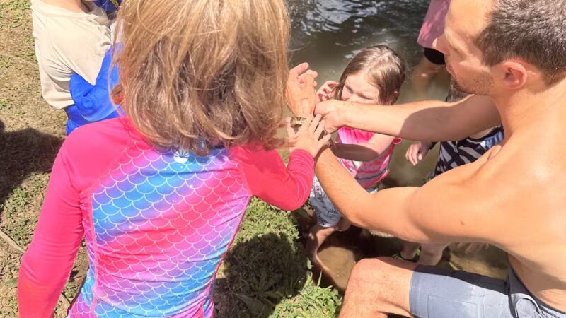 Heritage Park Dog Park Off-Leash - Chattanooga, TN