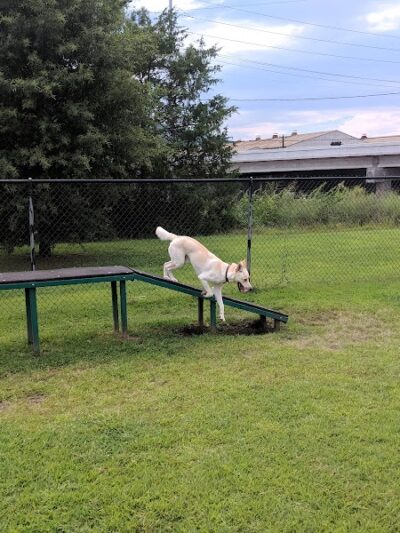 Chattanooga Chew Chew Canine Park - Chattanooga, TN