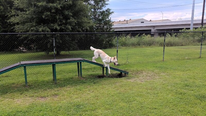 Chattanooga Chew Chew Canine Park - Chattanooga, TN