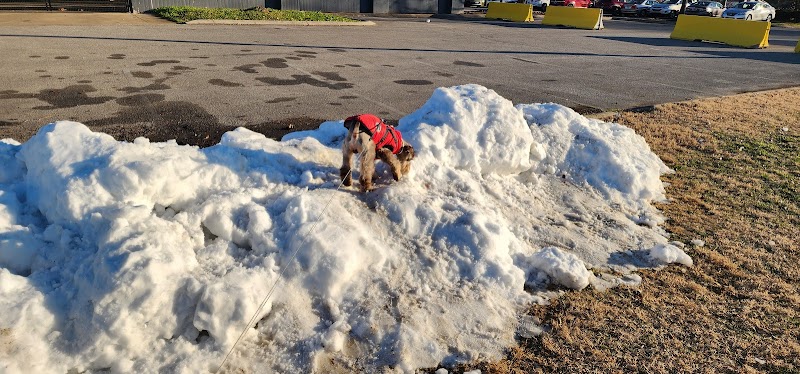 Chattanooga Chew Chew Canine Park - Chattanooga, TN