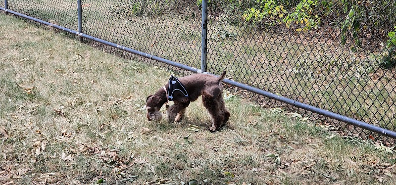 Chattanooga Chew Chew Canine Park - Chattanooga, TN