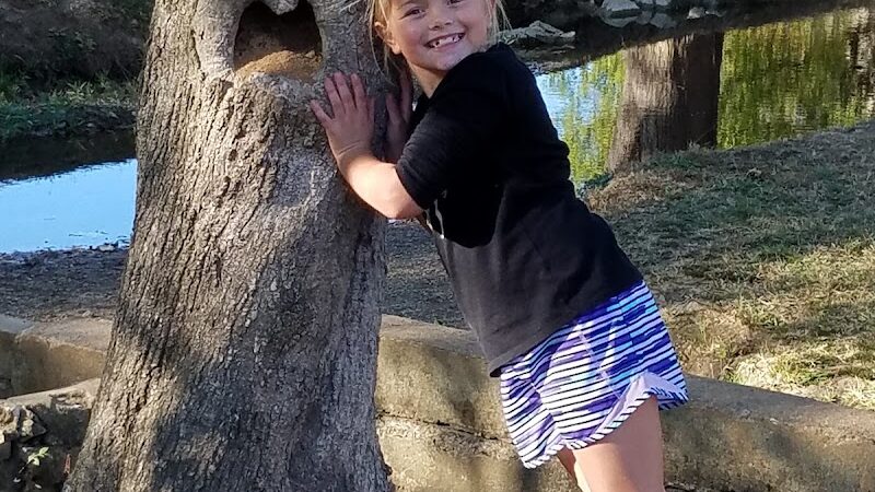 Heritage Park Dog Park Off-Leash - Chattanooga, TN