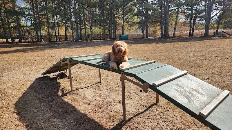Heritage Park Dog Park Off-Leash - Chattanooga, TN