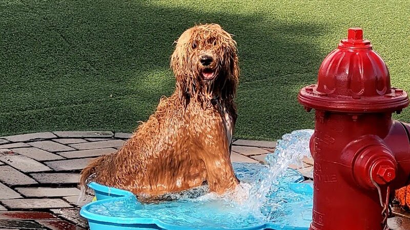 Play Wash Pint - Chattanooga, TN