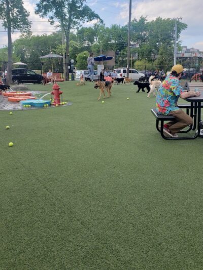 Play Wash Pint - Chattanooga, TN