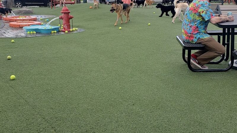 Play Wash Pint - Chattanooga, TN