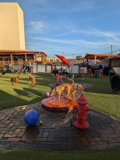 Play Wash Pint - Chattanooga, TN