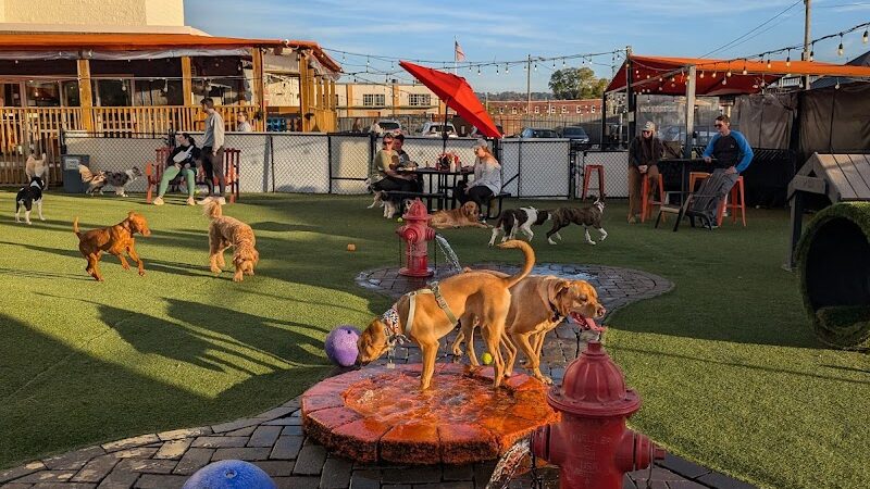 Play Wash Pint - Chattanooga, TN