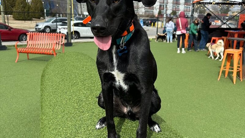 Play Wash Pint - Chattanooga, TN