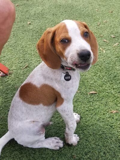 Play Wash Pint - Chattanooga, TN