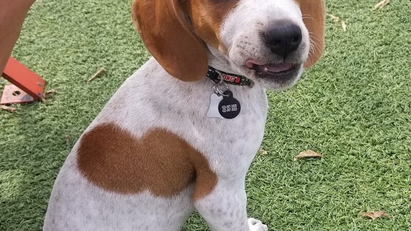 Play Wash Pint - Chattanooga, TN