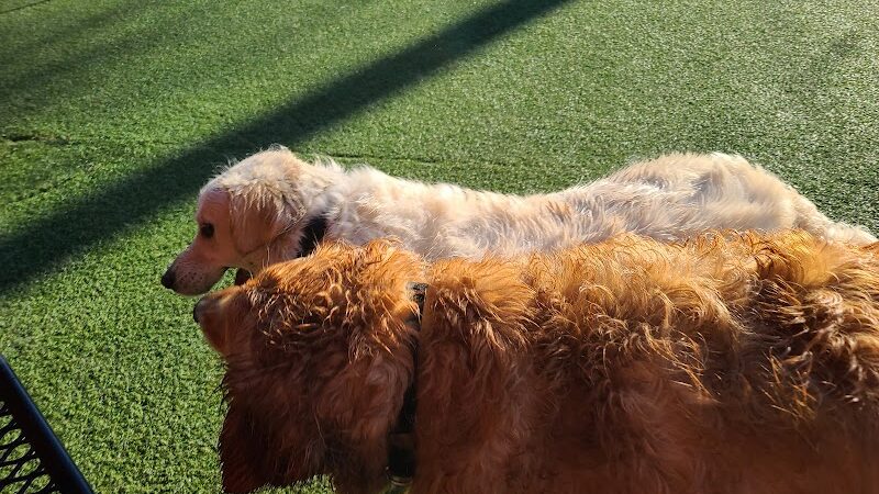 Play Wash Pint - Chattanooga, TN