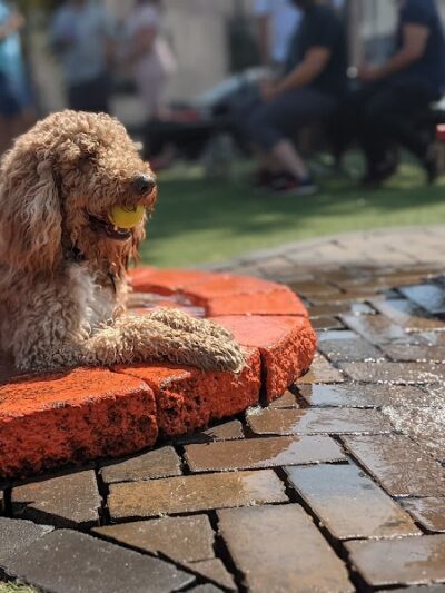 Play Wash Pint - Chattanooga, TN