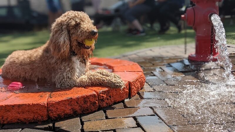 Play Wash Pint - Chattanooga, TN