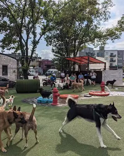 Play Wash Pint - Chattanooga, TN