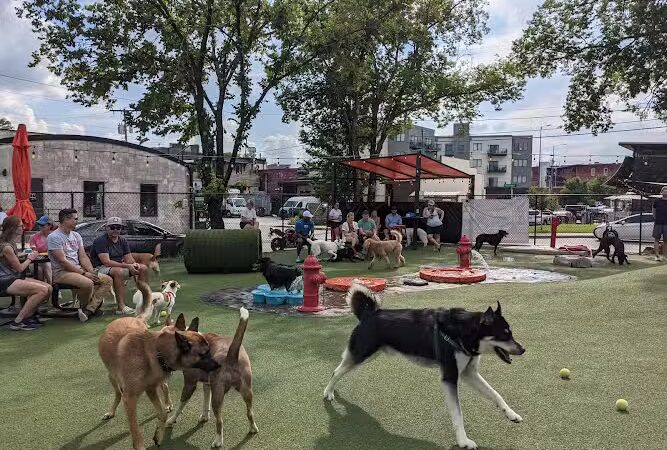 Play Wash Pint - Chattanooga, TN