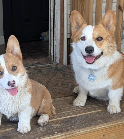 Play Wash Stay - Chattanooga, TN