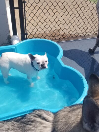 Play Wash Stay - Chattanooga, TN