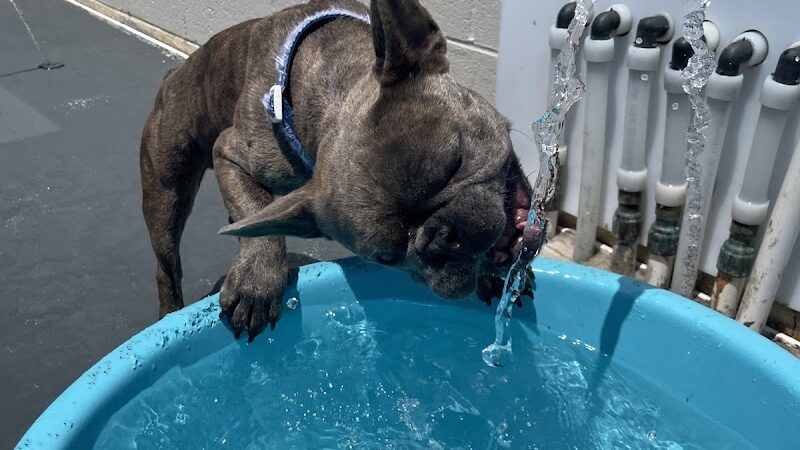 Play Wash Stay - Chattanooga, TN